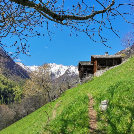 Alta via dei Walser - Ca' Vescovo - Reacing Ca' Vescovo- BBOfItaly