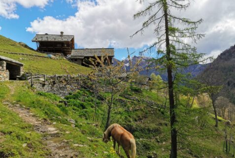 Alta via dei Walser - Oro - Oro viewed from the pathway to Ca' Verno - BBOfItaly