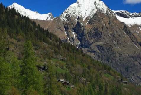 Alta via dei Walser - Peccia - View of Ca' Vescovo and Rabernardo hamlets - BBOfItaly.jpg