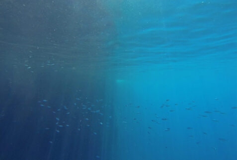 Baia del Buon Dormire e Grotta Azzurra - Crystal clear water - BBOfItaly.it