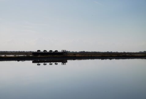 Cervia salt pan - railway train for the transport of salt - BBOfItaly