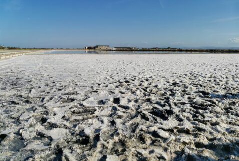 Cervia salt pan - salt with some silt visible underneath - BBOfItaly