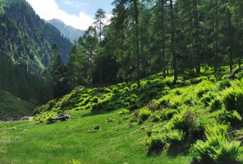 Walking in val Soè to get its end part