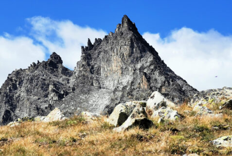 Vallone del Nomenon - Grivola - Crevasse peak seen from Trayo pass