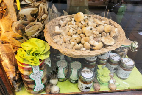 Bobbio - Porcini mushrooms from forests