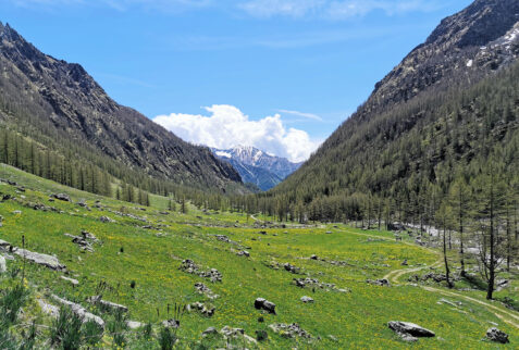 Val Soana - Vallone di Campiglia