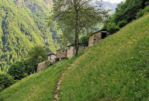 Alpe Deleguaggio – path to the entry part of Valle del Varroncello