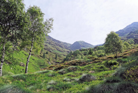 Alpe Deleguaggio – close to the Alpe