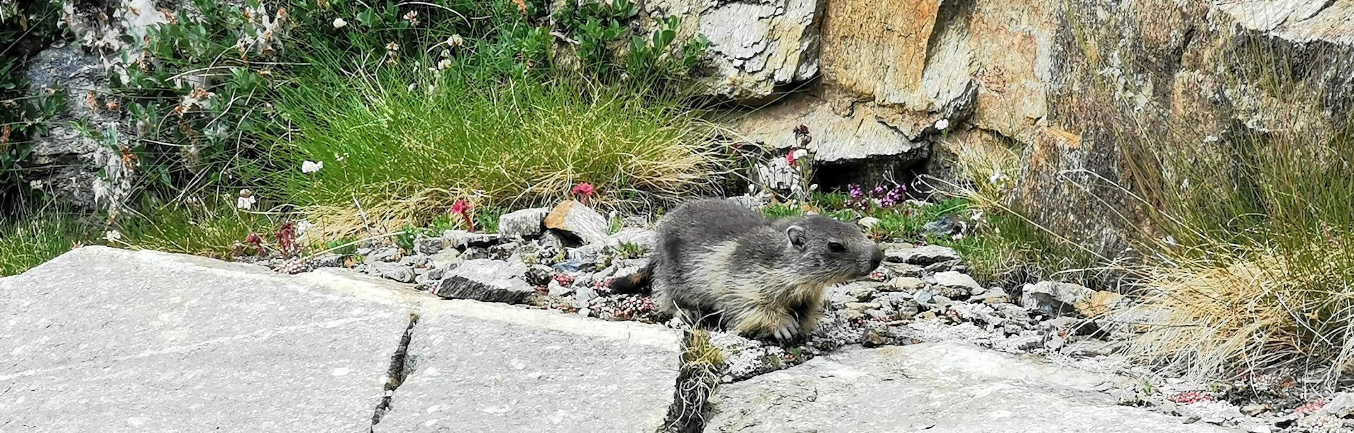 Lago Nero