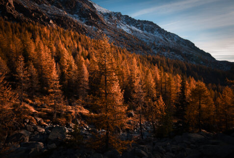 Autumn colors in Predarossa