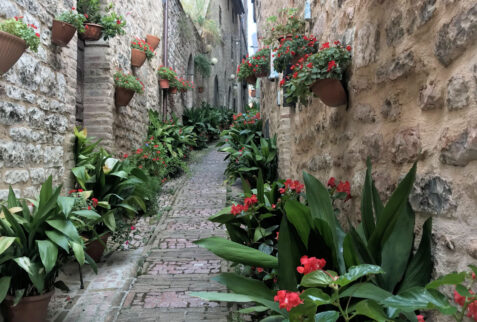 Assisi - glimpse on Spello