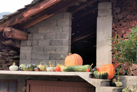 Introd - pumpkin parade at the village