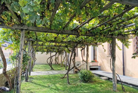 Introd – courtyard of a village house