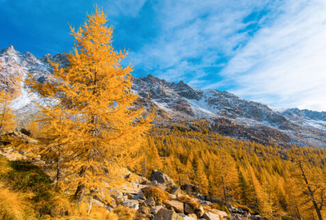 Mountains view while walking in Predarossa