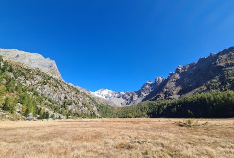 The greenland at the beginning of the valley and in the background Monte Disgrazia