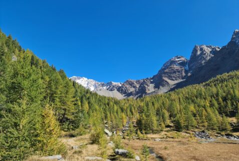 The beginning of the walk and in the background Monte Disgrazia