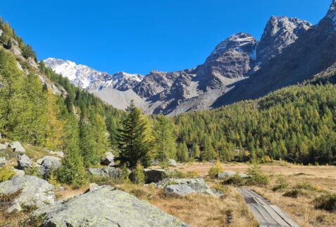 The boardwalk at the beginning of the path and in the background Monte Disgrazia