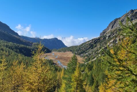 The view of the valley crossed by Duino river