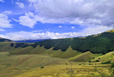 Monti Sibillini National Park - Castelluccio di Norcia Plateau