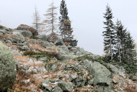 Val Ferret Rifugio Elena – a little bit of snow on the meadows