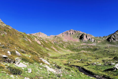 Monte Rosso di Vertosan and its bloomed meadows