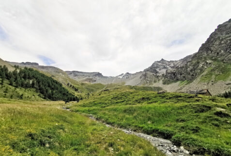 Entrelor – at the edge of pine forest looking toward Vallone dell’Entrelor