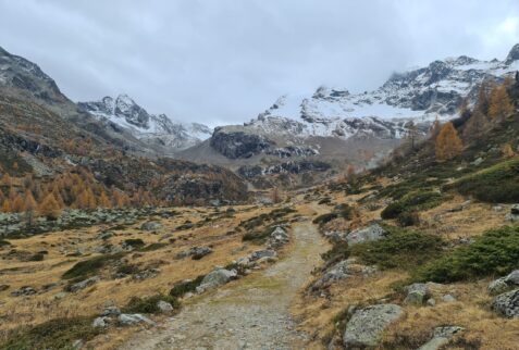 Pizzo Dosdé Glacier - Val Viola