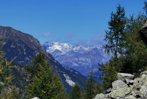 Val Garzelli – the horizon with very high mountains of Switzerland – BBofItaly