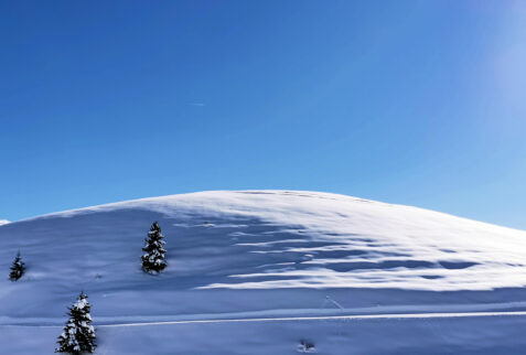 Piani dell’Avaro – pristine snow and sun an incredible show! – BBofItaly