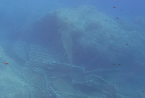 Pomonte wreck - Parts of the ship lying on backdrop - BBOfItaly.it