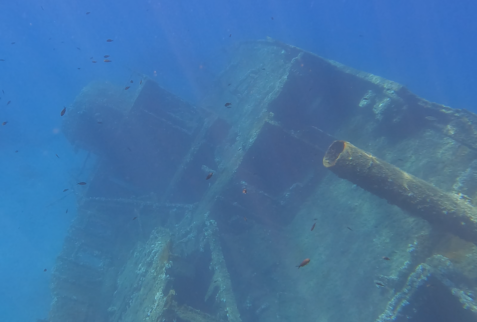 Pomonte wreck - BBOfItaly.it