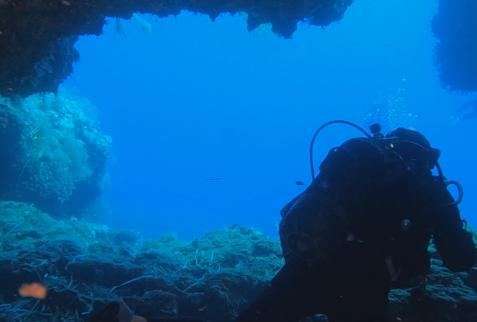 PIanosa Boa SP6 - Scuba diver exiting the cave - BBOfItaly.it