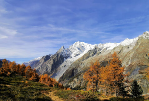 Testa Bernarda – Mont Blanc massif immersed in fall colours – BBofItaly